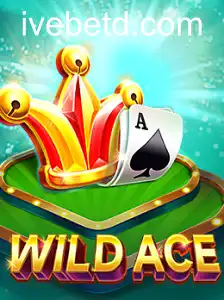 Descubra o Fascinante Mundo de WildAce: Introdução e Regras